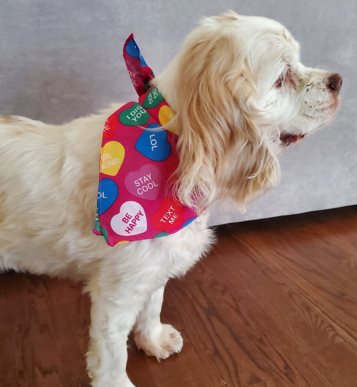 Dog Bandana | Candy Hearts