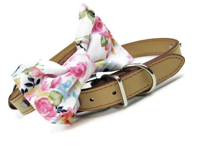 Bowtie Collar | Flower Power